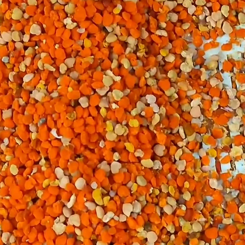 Granos de polen de abeja de colores distintos