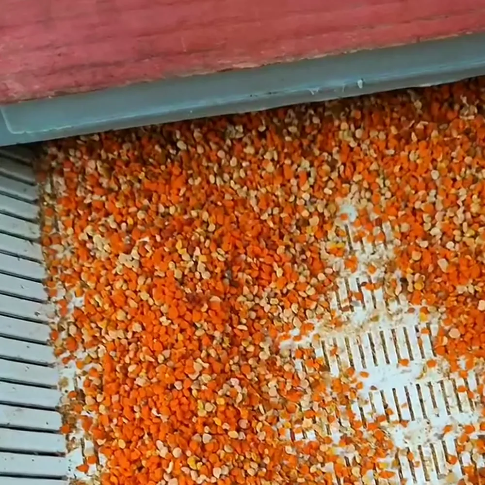 Polen de abeja del apicultor ApiMan