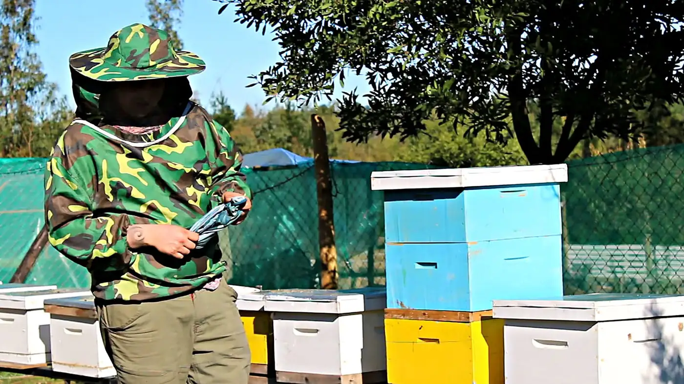 Apicultor con traje de protección junto a las colmenas
