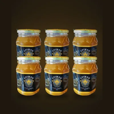 Seis frascos de miel cruda de bosque nativo ApiMan, formato 6 kg