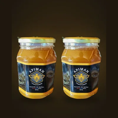 Frascos de miel cruda de bosque nativo ApiMan, formato 2 kg