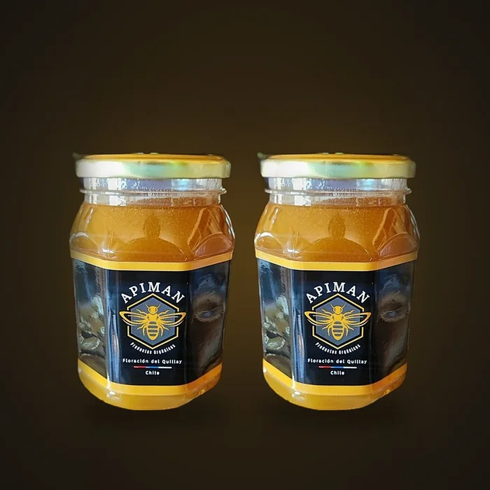 Frascos de miel cruda de bosque nativo ApiMan, formato 2 kg