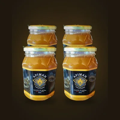 Frascos de miel cruda de origen rural ApiMan, formato 4 kg