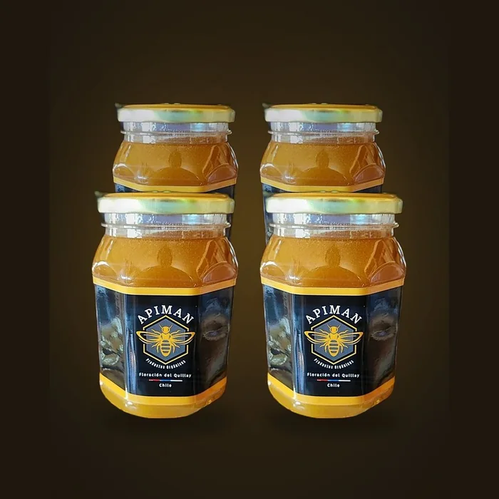 Frascos de miel cruda de origen rural ApiMan, formato 4 kg